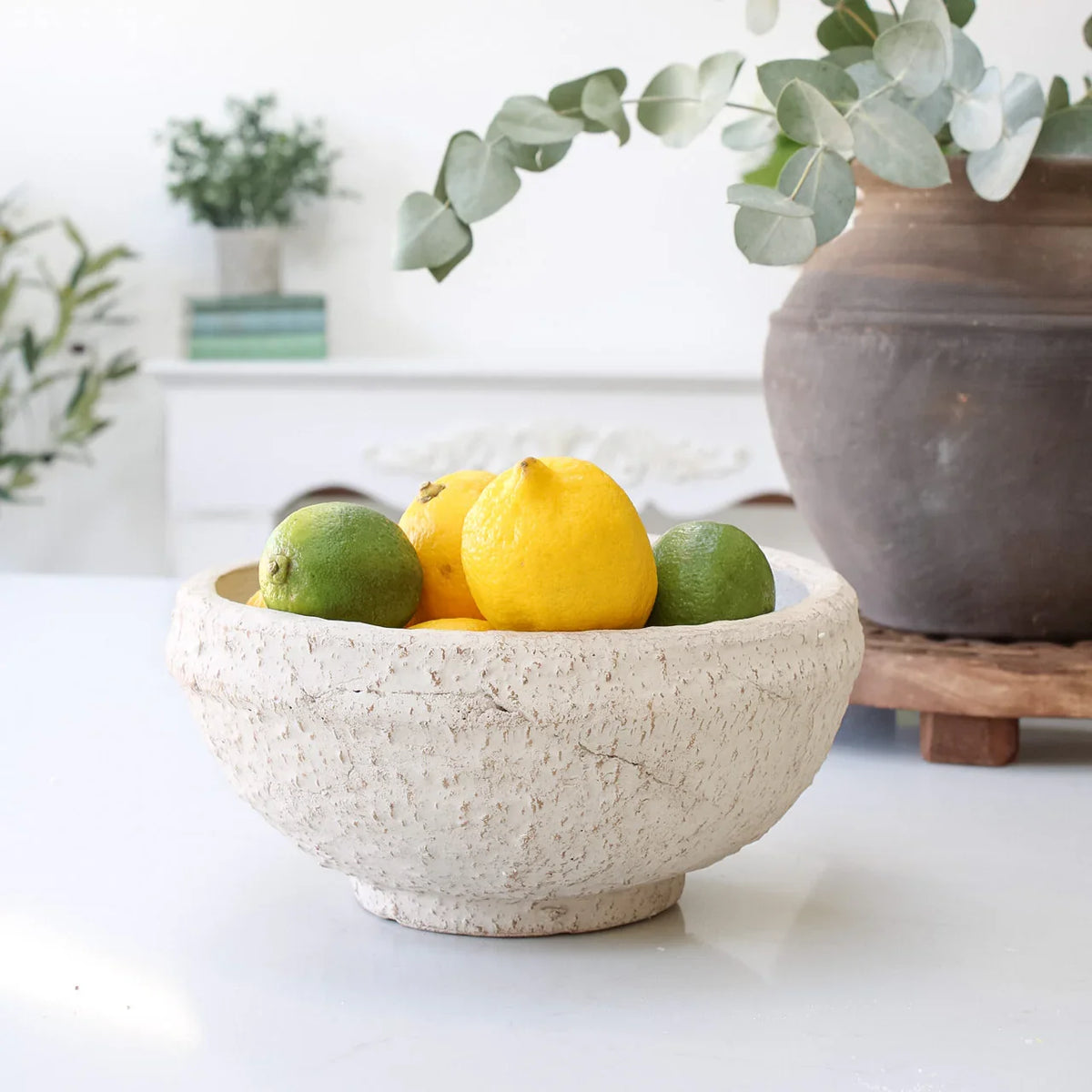 Whitewashed Textured Terra Cotta Decorative Bowl